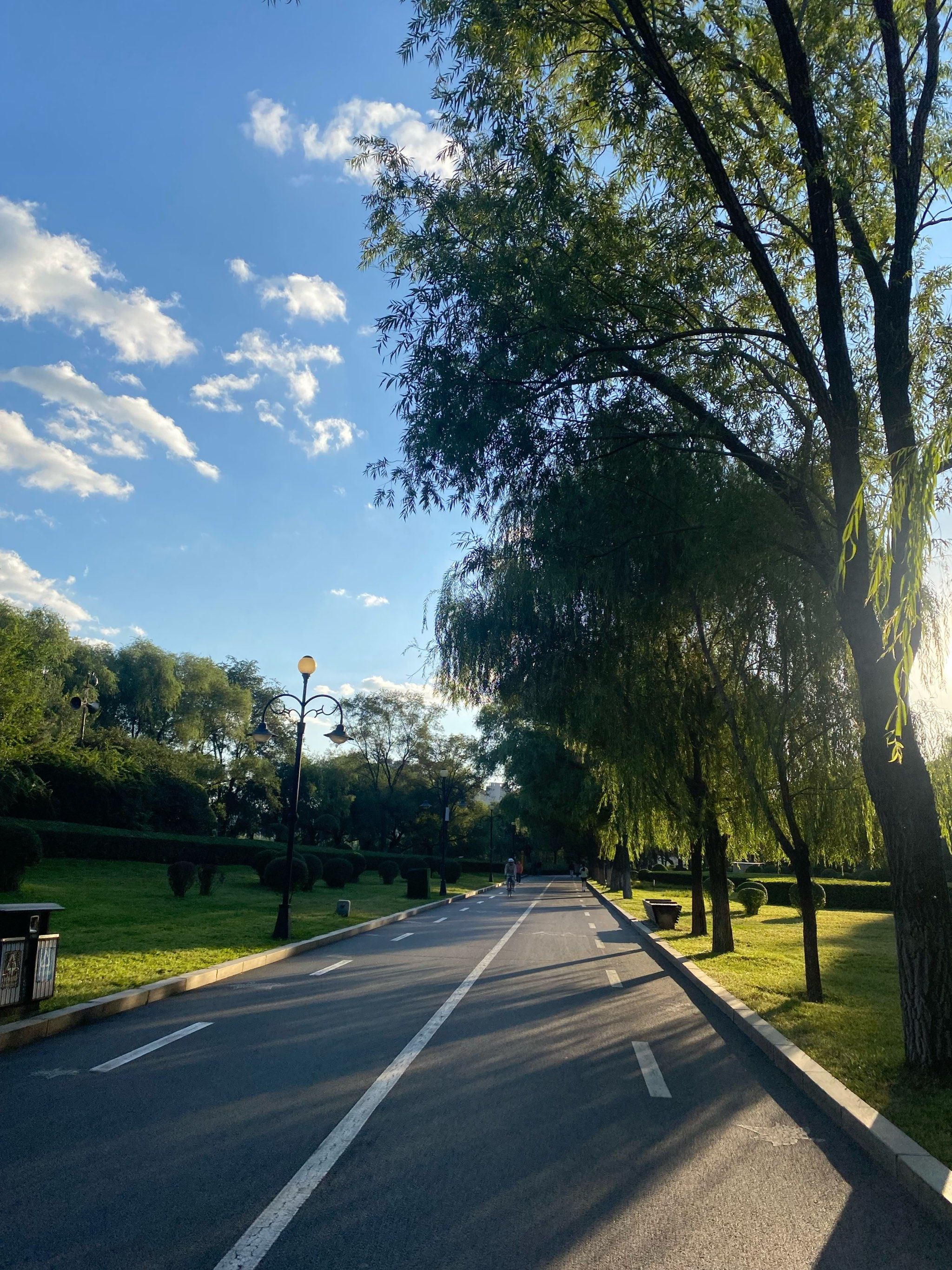 清晨公园跑步时光