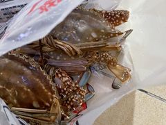 -老字号蛇口德记烧腊饭店·海鲜加工