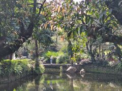 -广州兰圃