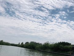 -泗洪洪泽湖湿地景区