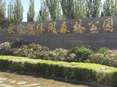 -永定河休闲森林公园