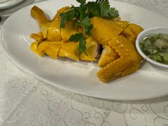 -饭饭掂