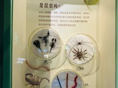 -常州博物馆