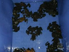 -老猎户炭火锅羊汤(万达店)
