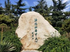 -西苑公园