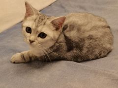-达爱动物医院·犬猫分区·CT·复杂眼科(远洋山水分院)