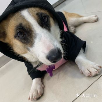实在太可爱了，一点看不出来是女孩子，哈哈哈，太帅了
