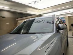 -美国龙膜官方授权店(龙冠罗湖店)