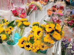 -盒马X会员店(王府井奥莱UP TOWN店)