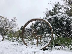 -杭州城北体育公园