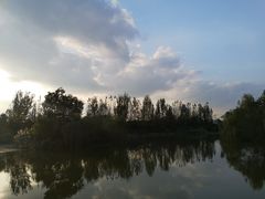 -白鹭湾湿地公园