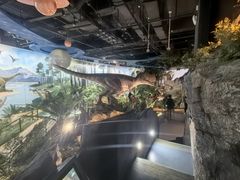 -陕西自然博物馆