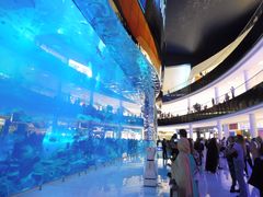 -迪拜水族馆及水下动物园