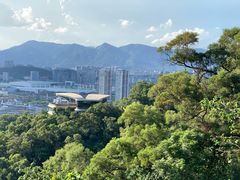 -金鸡山公园