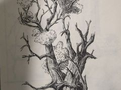 -信马画室 成人零基础到个人创作画室(亚运村店)