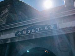 -小樽八音盒堂(手工制作体验馆店)