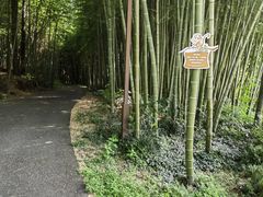-苏州环秀晓筑养生度假村