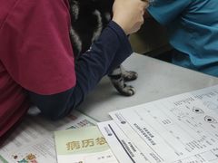 -芭比堂动物医院·24小时·眼科中心(深圳中心)
