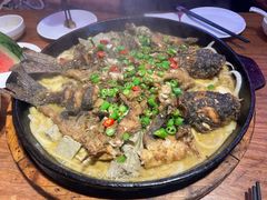 -老板恋上鱼(恒隆广场店)