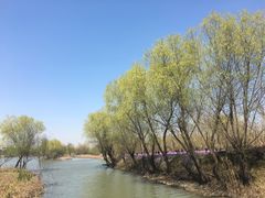 -长兴太湖图影湿地文化园