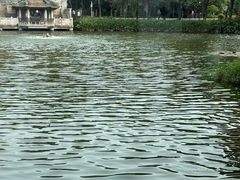 -荔湾湖公园