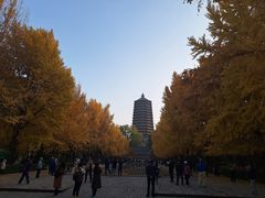 -玲珑塔公园