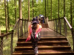 -黄海国家森林公园