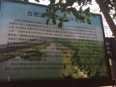 -合肥滨湖国家森林公园