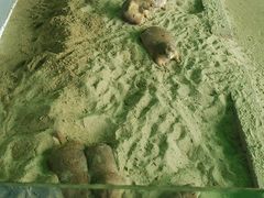 -杭州野生动物世界