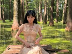 -渌洋湖湿地公园