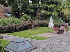 -老房子金沙元年川菜食府·花园餐厅(金沙店)