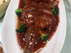 -丁老爷子苏香圆