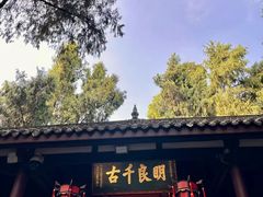 -上海月湖雕塑公园