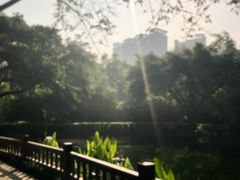 -望江楼公园