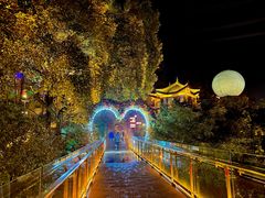 -巴倒烫陆派火锅山庄(南山总店)