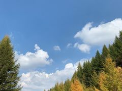 -苏木山森林公园