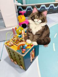 -孩子王童乐园(唐山万达广场店)