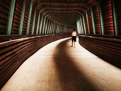 -昆山城市生态森林公园