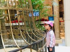 -深圳东部华侨城茵特拉根酒店