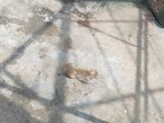 -水绘园