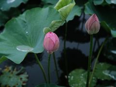 -重元寺