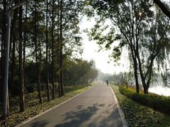 -昆山城市生态森林公园