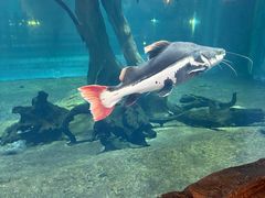 -华夏文旅海洋公园