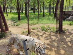 -秦皇岛野生动物园