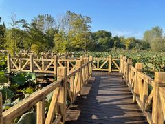 -溱湖国家湿地公园