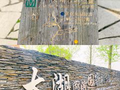 -太湖湖滨国家湿地公园-停车场