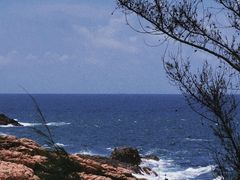 -广东惠东海龟国家级自然保护区