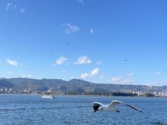 -海埂大坝