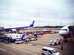 -全日本空输株式会社(上海办事处)