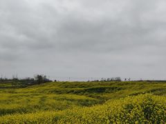 -冶山国家矿山公园